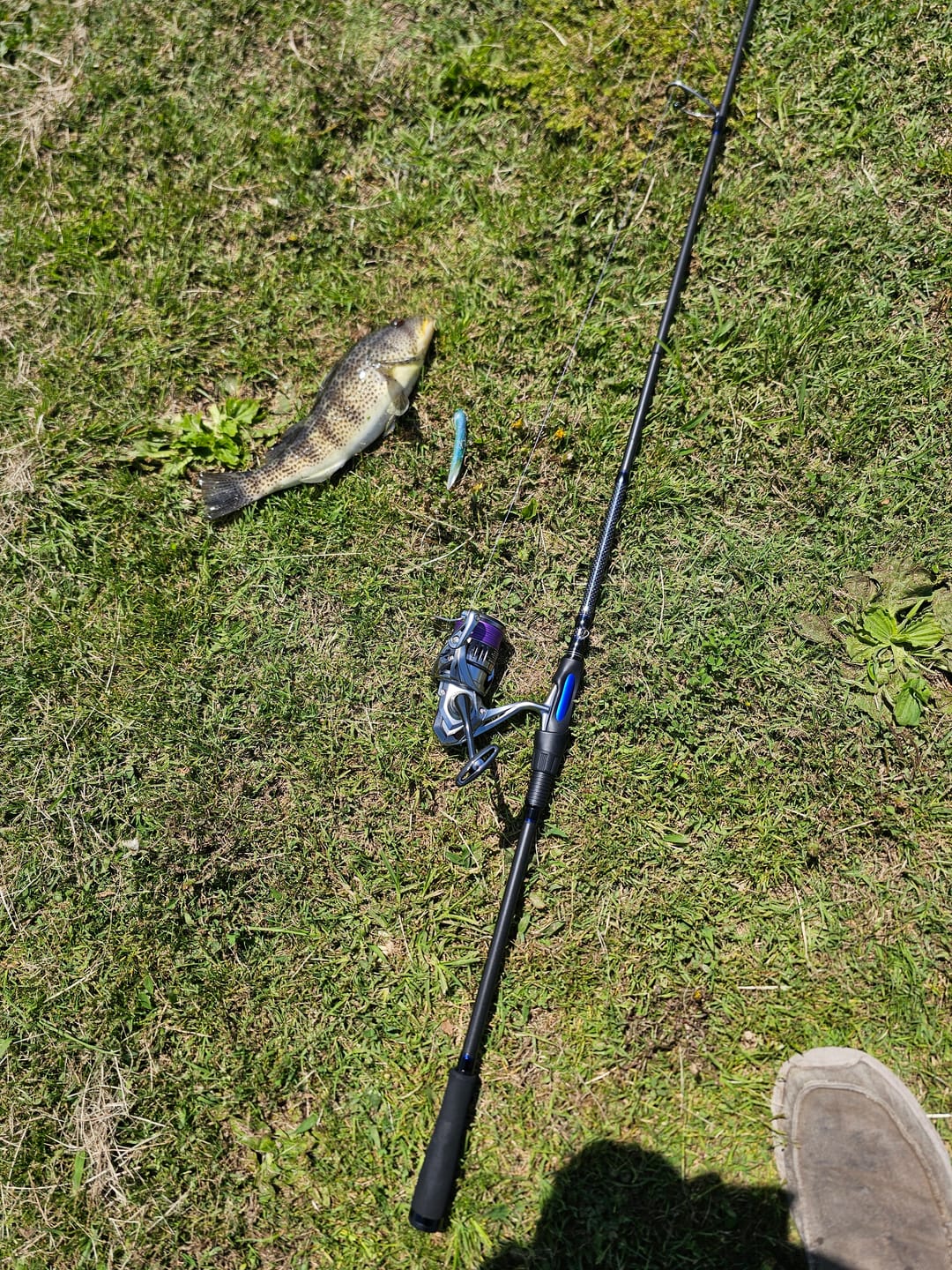 Customer photo review of Purple Prowler 8X - Ultra Performance 8 Strand