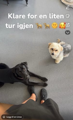 Customer photo review of Føl Deg Best Hele Dagen Med Våre Jordingssko