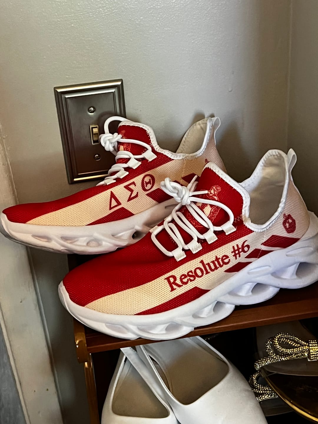 Customer photo review of Sorority Footwear - Personalized Delta Sigma Theta Stripe Style Clunky Sneakers