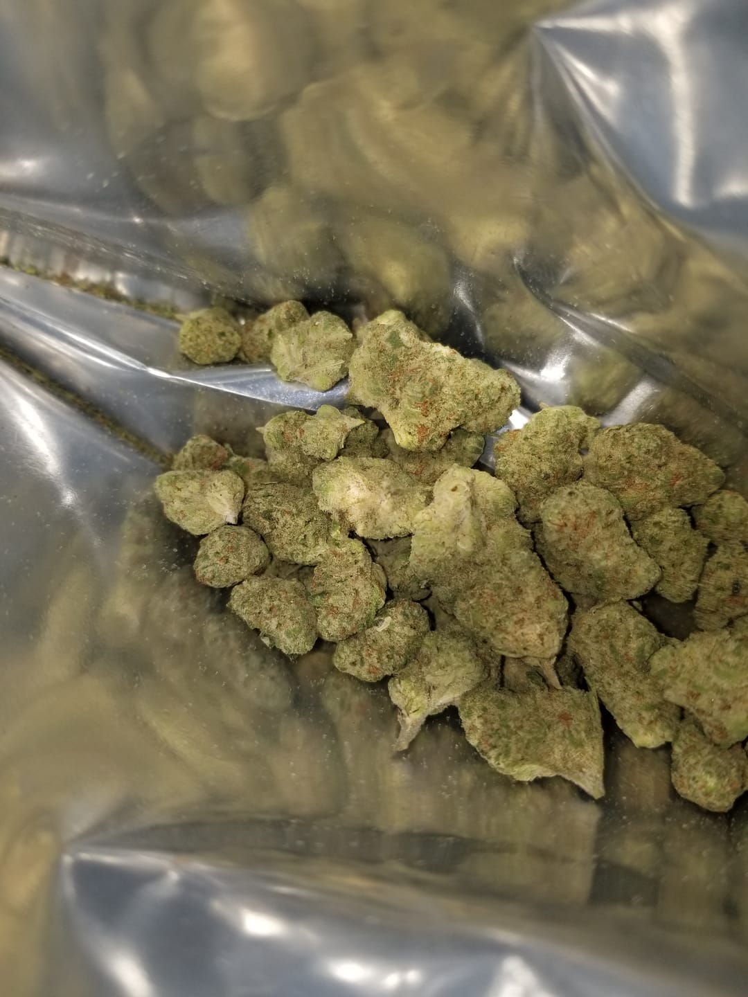 Customer photo review of Colombian Gold  - Exotic Smalls