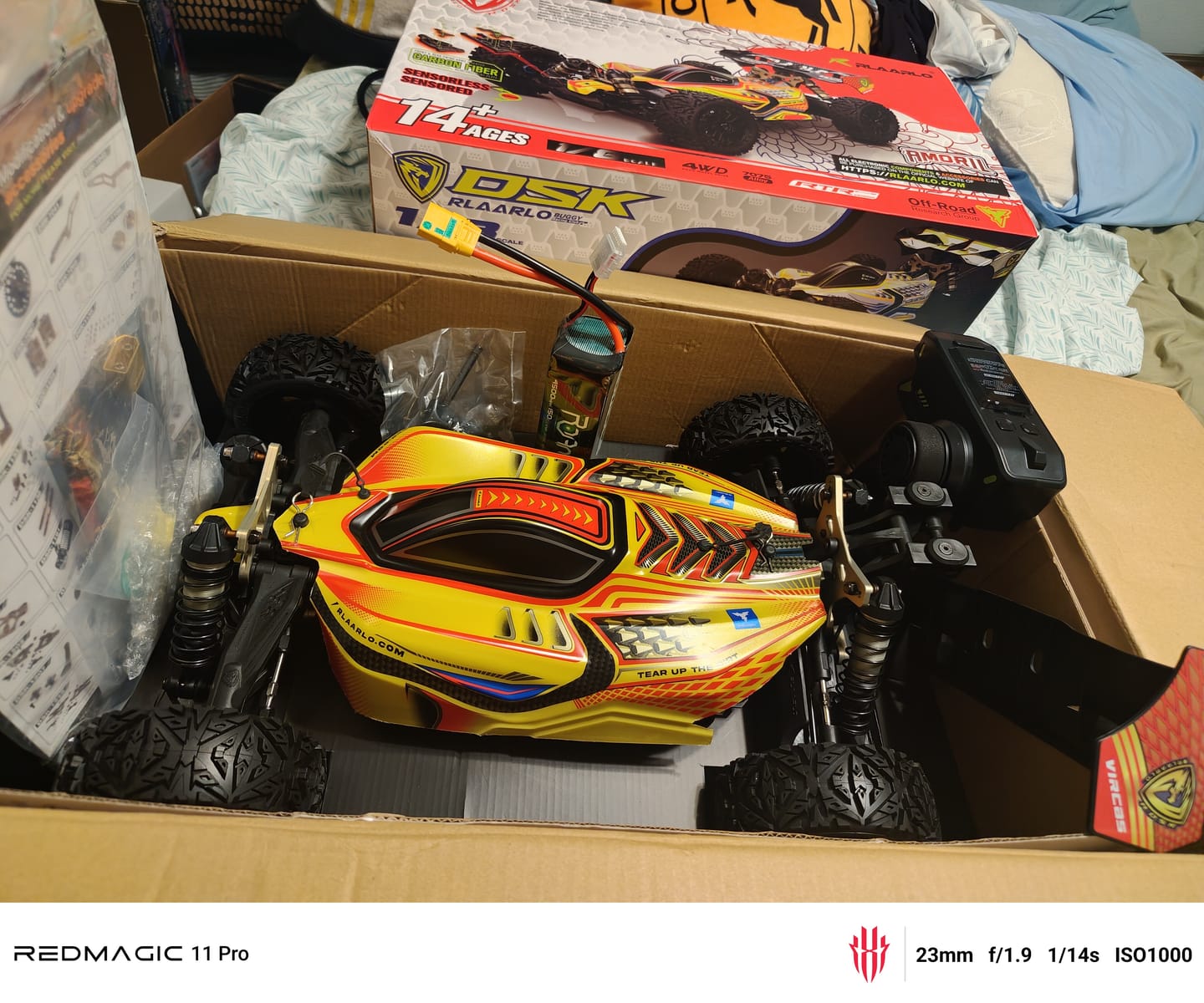 Customer photo review of Rlaarlo 1/8 4WD Buggy Dragon Scale Knight | DSK RTR