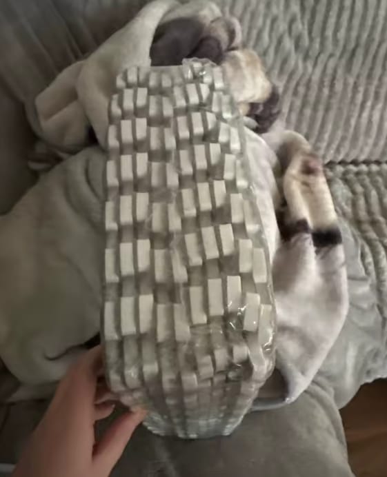 Customer photo review of Pet-Mat