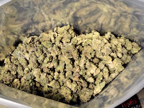 Customer photo review of Cheap THCA Smalls Quarter Pound