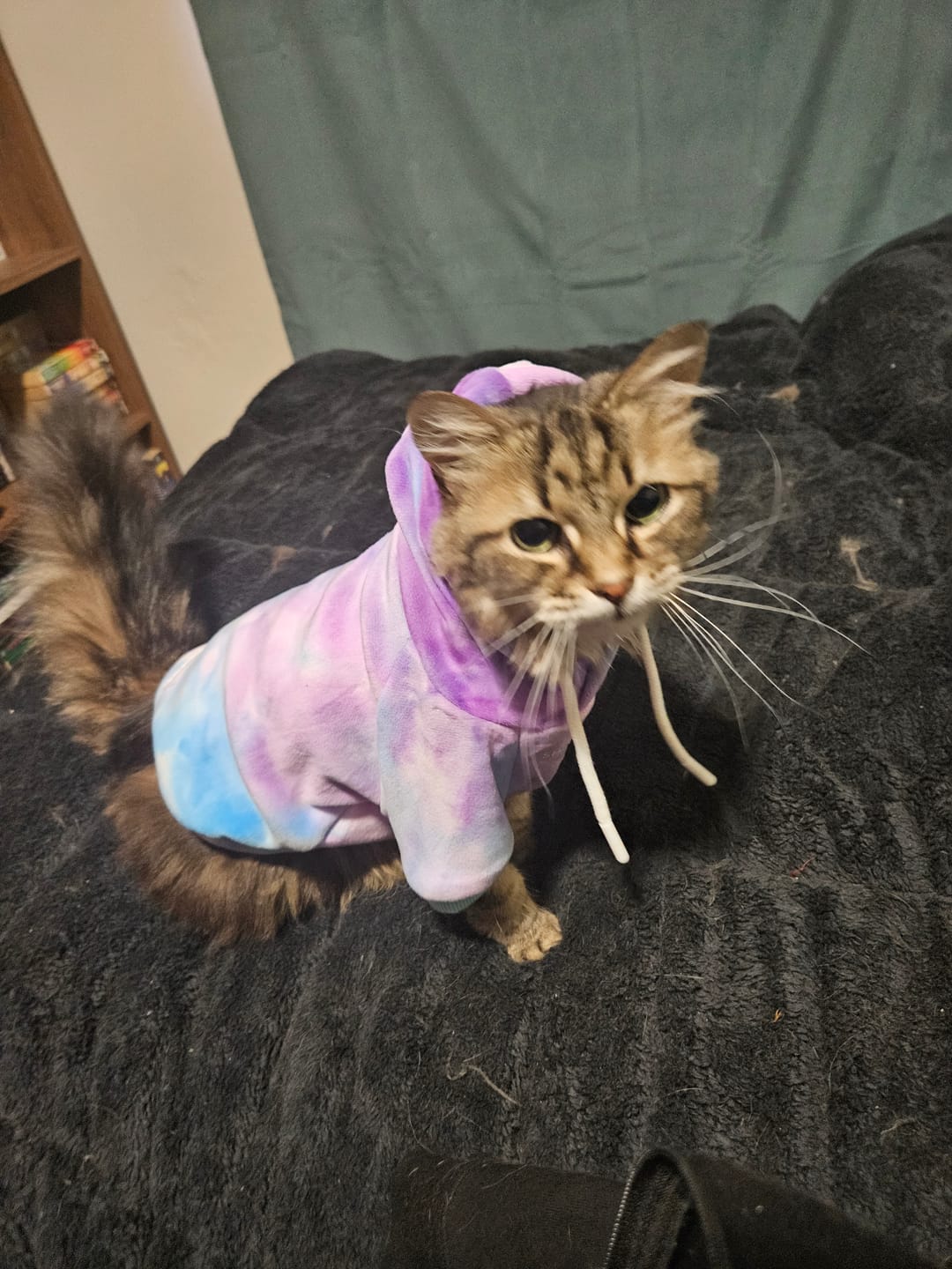 Customer photo review of Velvet Dog Hoodie - 90s Retro