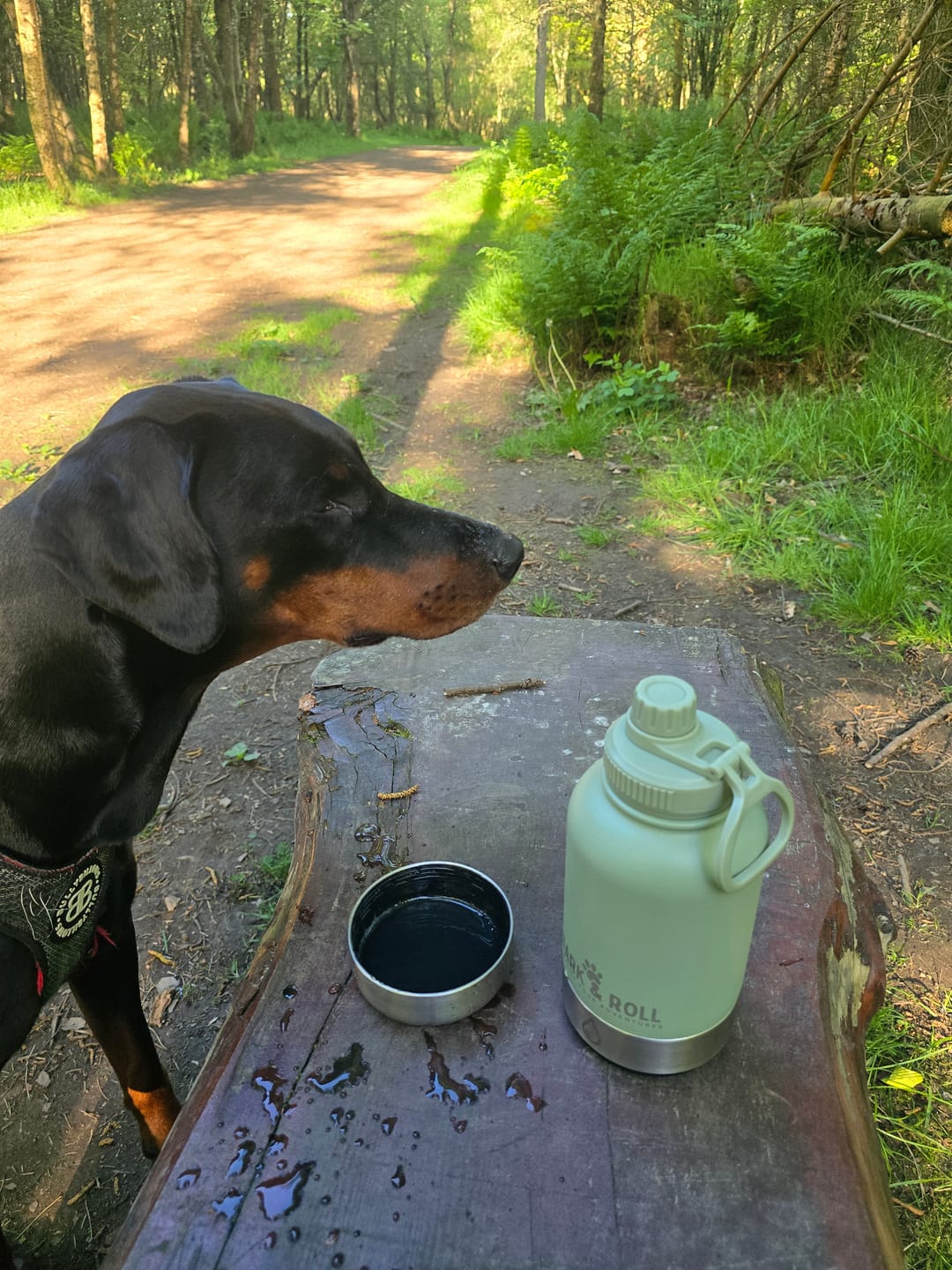 Customer photo review of 3-in-1 Portable Water Bottle