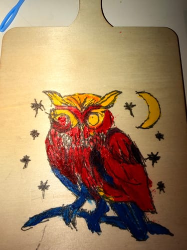 Reviewer's finished project from the Craft DIY Subscription Box, showing a colorful owl on a wooden board.
