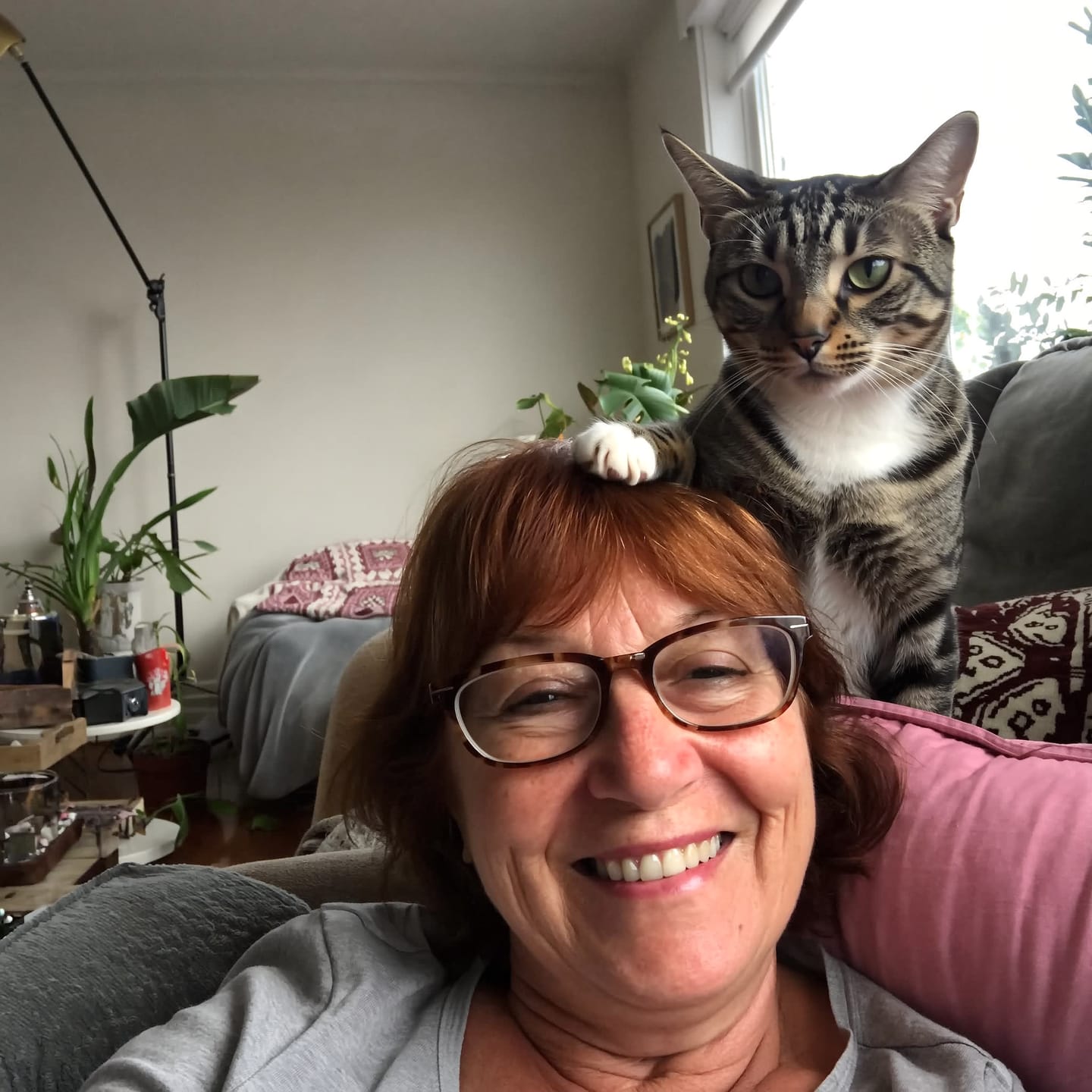 Customer photo review of Revalisse™ - Mattine più sane e una casa più sana