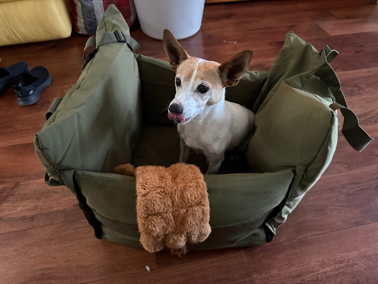 Customer photo review of Dog Car Seat Booster Belt Pet Portable Travel Bed Hand-carry Washable