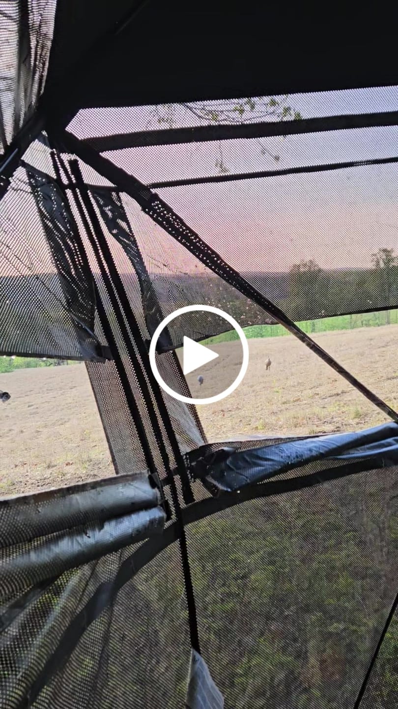 Customer video review of Vis Series 270 Degree See Through Hunting Blind | Portable 2 3 4 Person Ground Blind | Camo Pop Up Ddeer Blind for Deer & Hunters