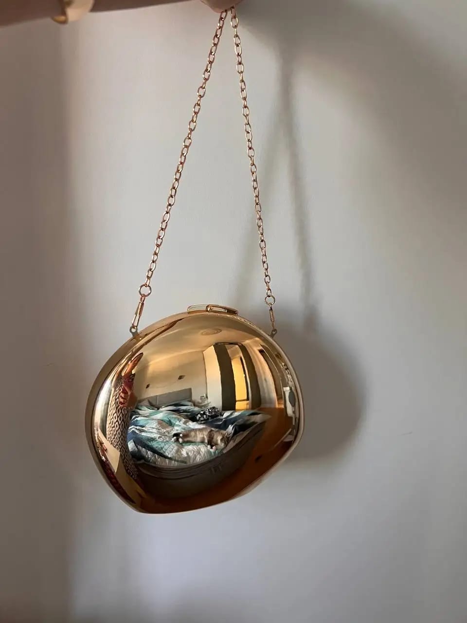 Customer photo review of Celeste Shell Shape Evening Clutch