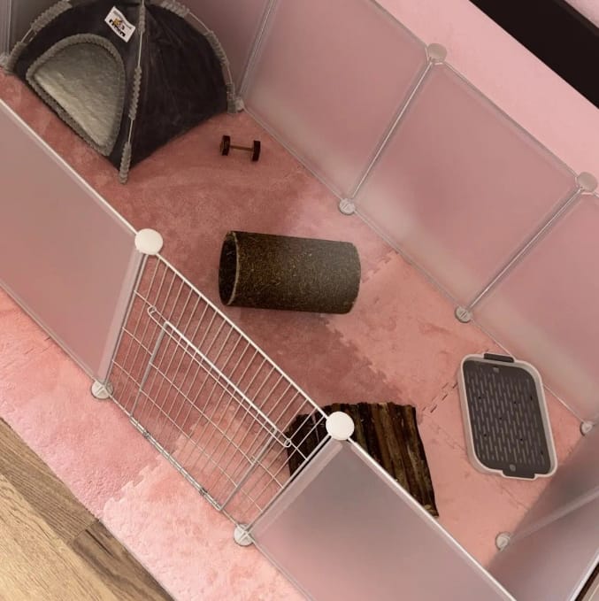Customer photo review of Pet-Mat
