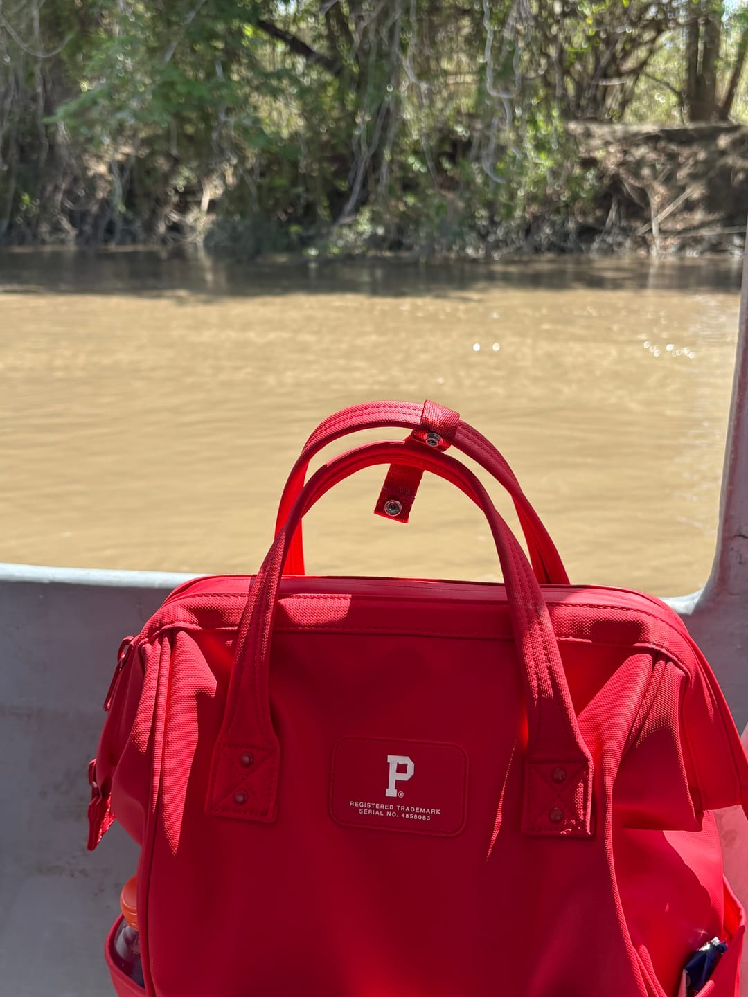 Customer photo review of Cascade Backpack - Standard