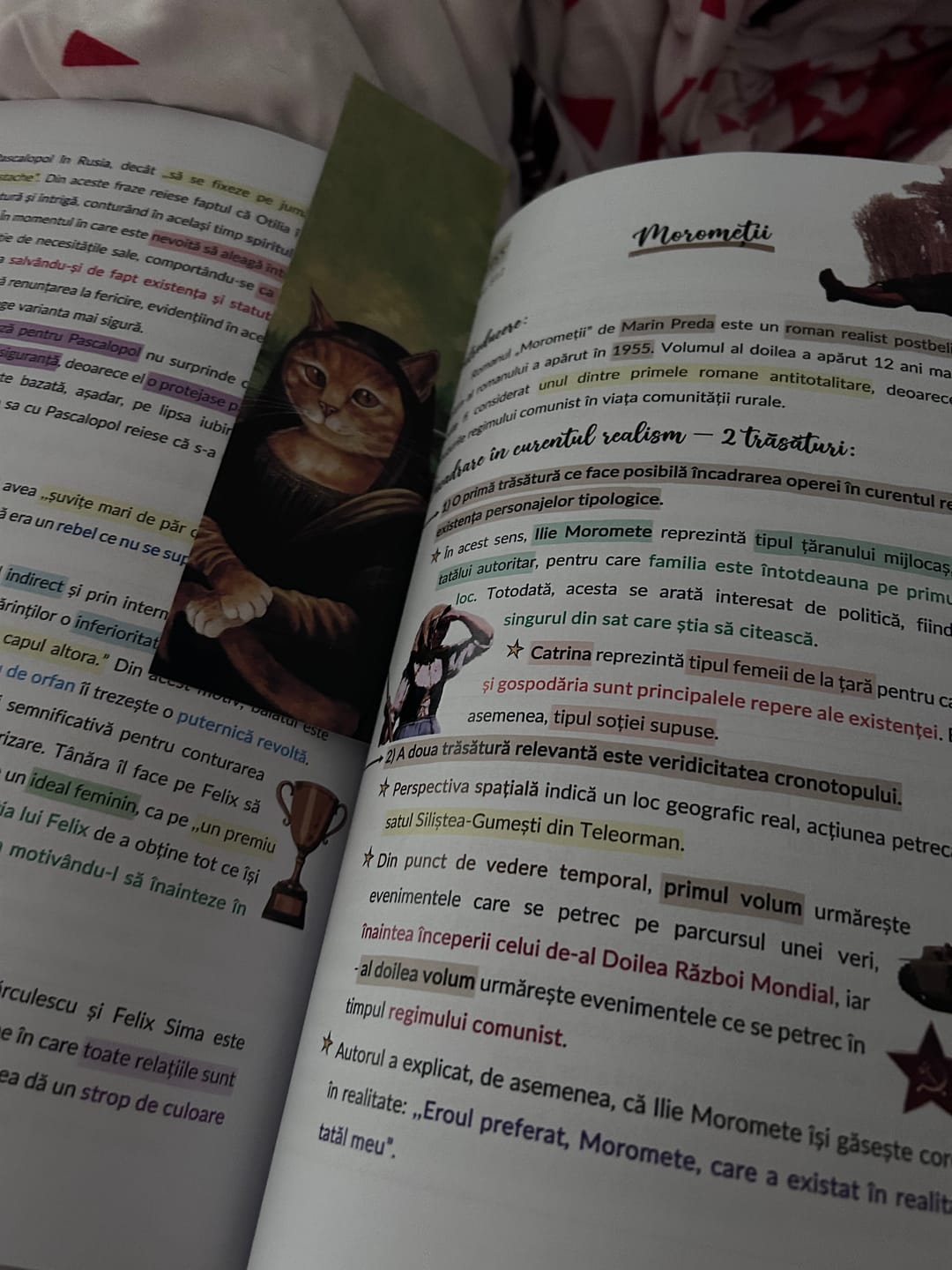 Customer photo review of Carte Română Bacalaureat Bacademia (temă și viziune, caracterizare, relație) - Ediția II