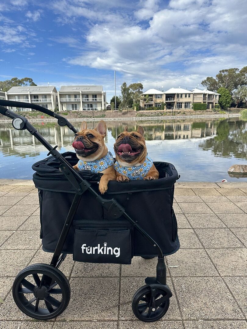 Customer photo review of Fur King Wagon - 30 kg Pet Pram