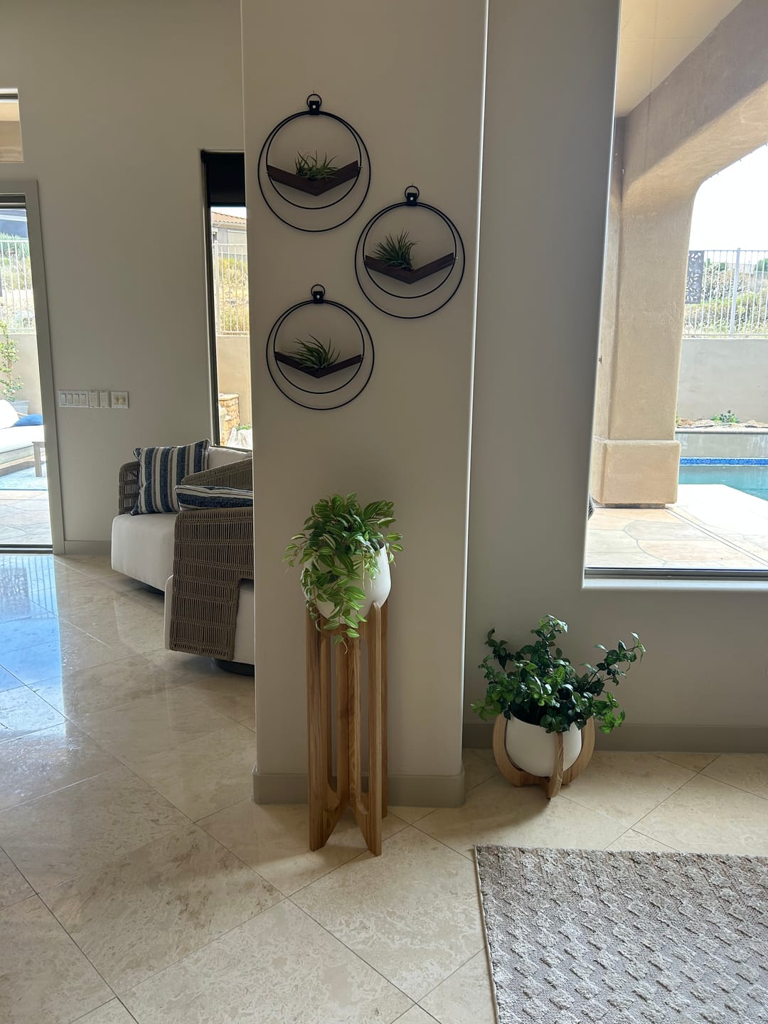 Customer photo review of Air Plant V-Hanger Trio