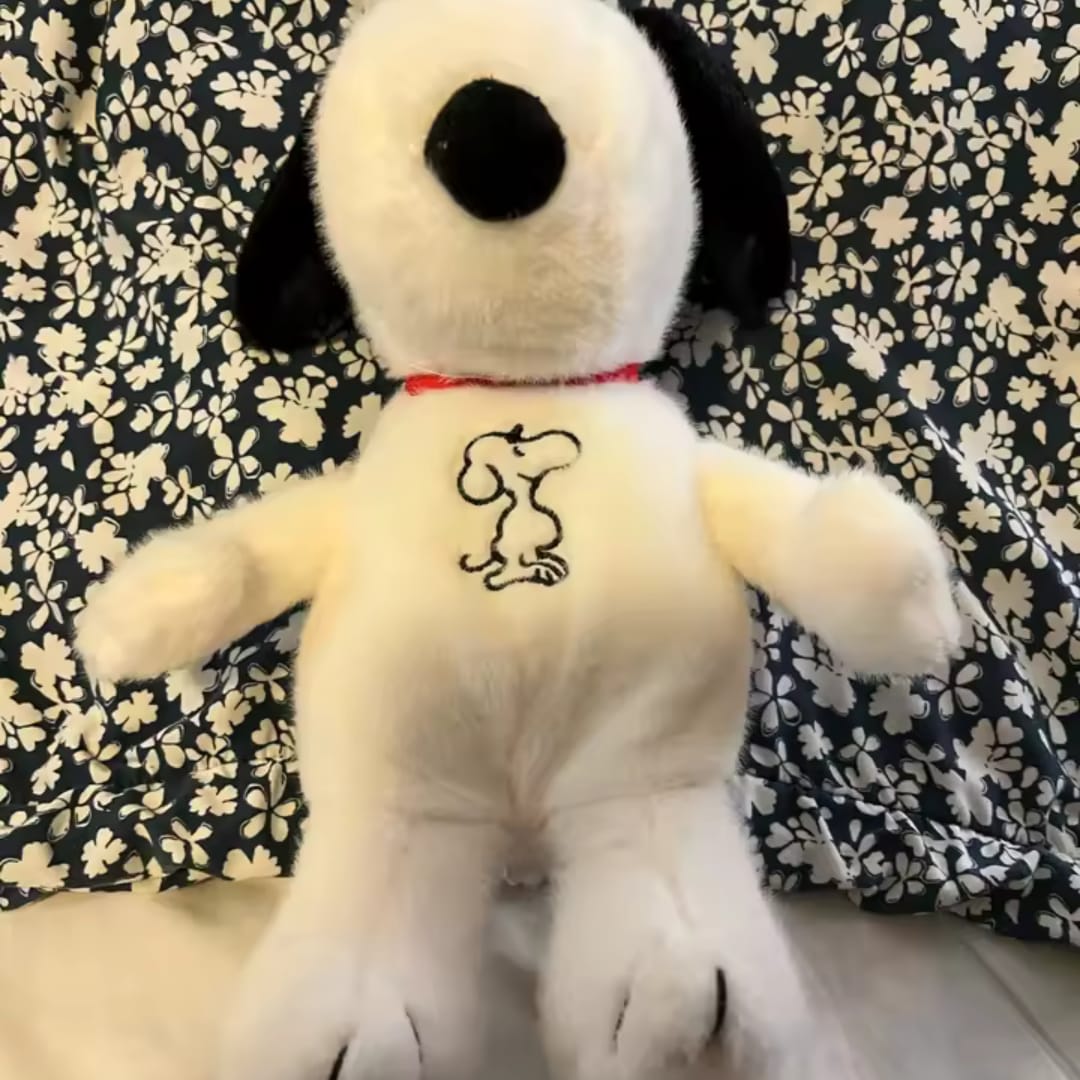 Customer photo review of Lumi – Your Calm & Sleep Companion