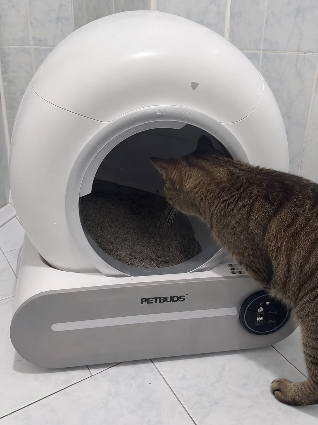 Customer photo review of Petbuds™ Pro 2026 Automatic Self-Cleaning Litter Box