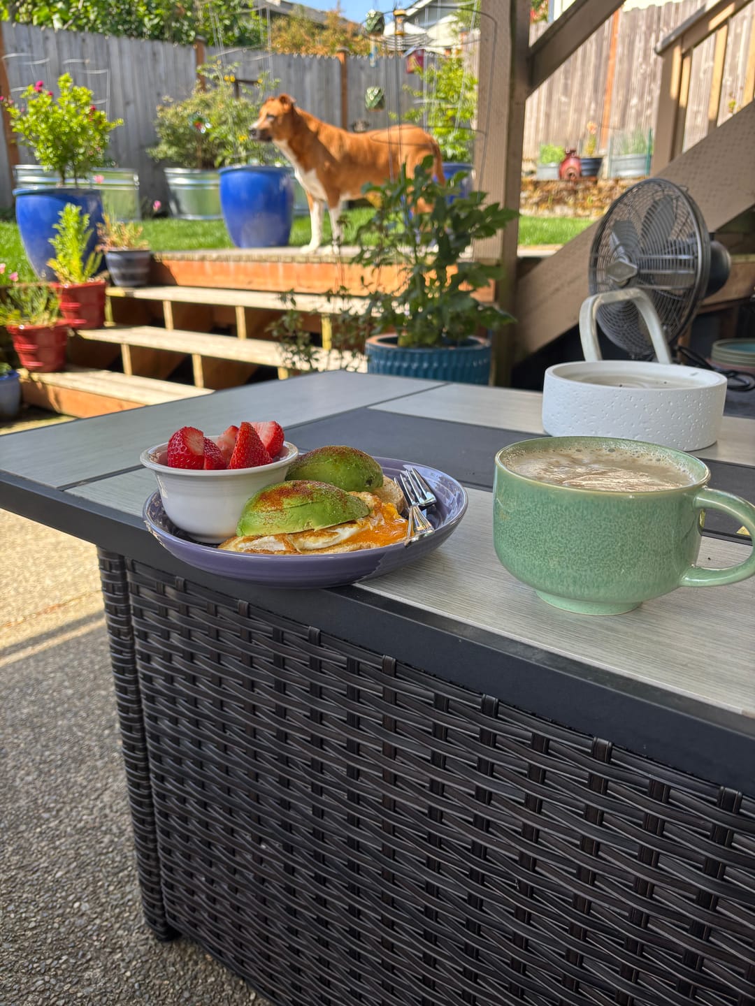 Customer photo review of Emerald Mug 16oz