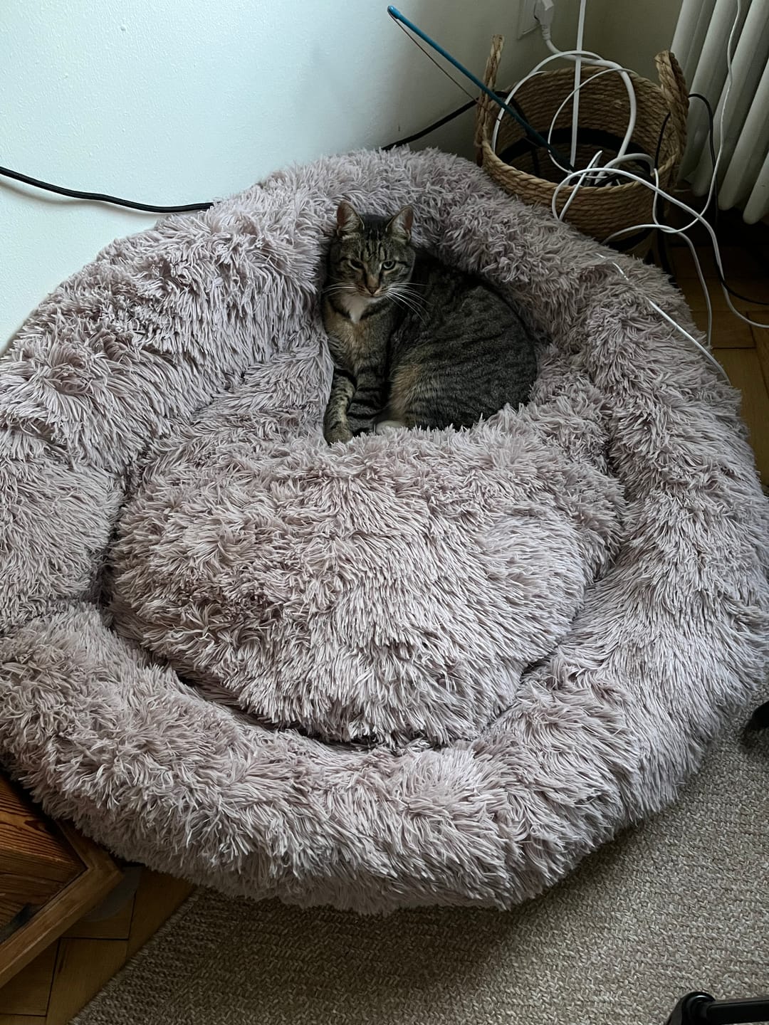 Customer photo review of Puppery Hundebett Wolke 7 - Das Original
