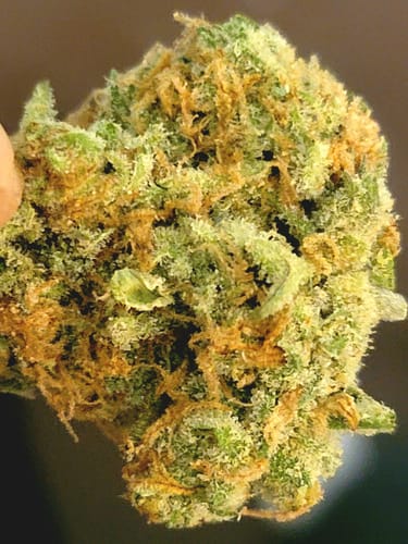Maui Wowie - 14 Grams - Sativa photo review