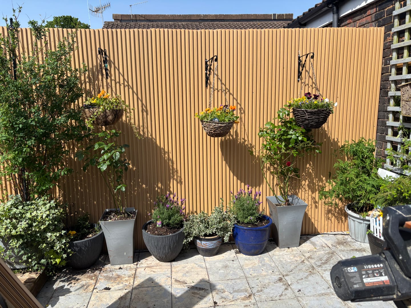 Customer photo review of Exterior Seamless Outdoor Panels 2.4m × 2.4m (16 Panels Per Pack) Multiple Colours