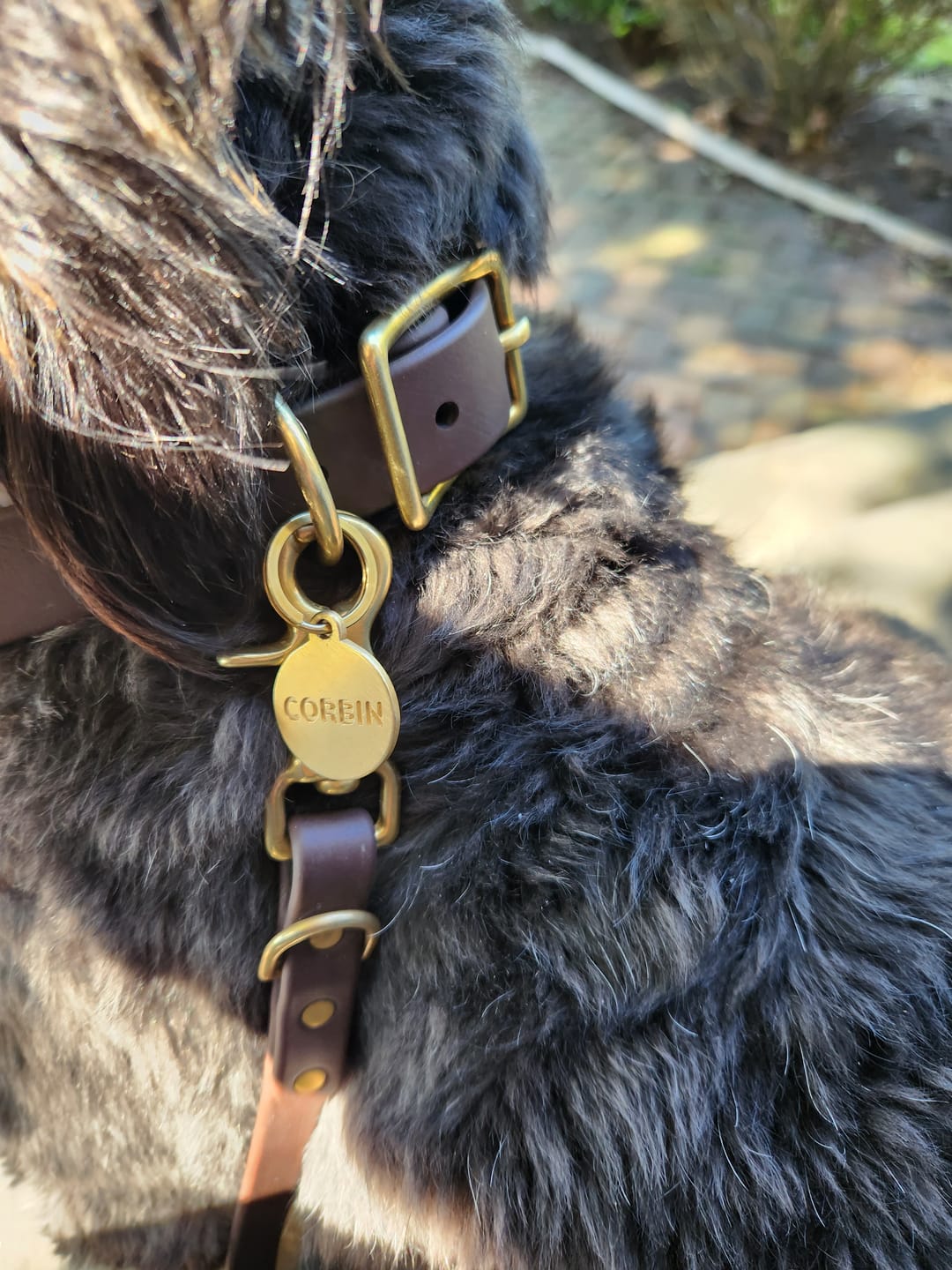 Customer photo review of Espresso - Classic Biothane Dog Collar