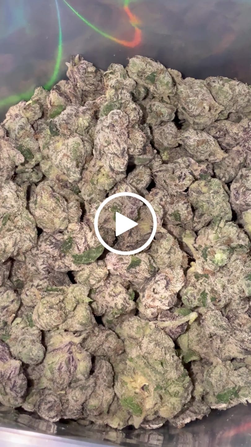 Customer video review of Boutique Exotics  Lemon Dior - Bulk - Hybrid