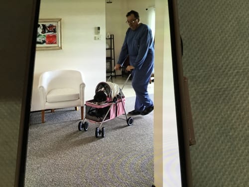 A reviewer pushing the pink and black pet stroller with their dog inside, across a carpeted floor indoors.