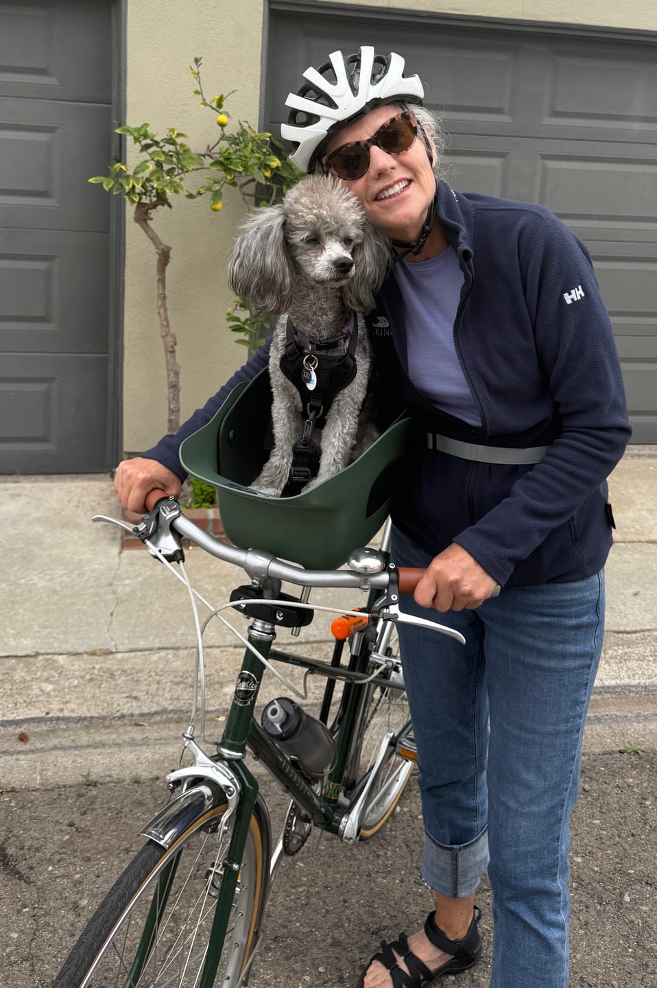 Customer photo review of Kvisp Dog Bike Carrier (Refurbished)
