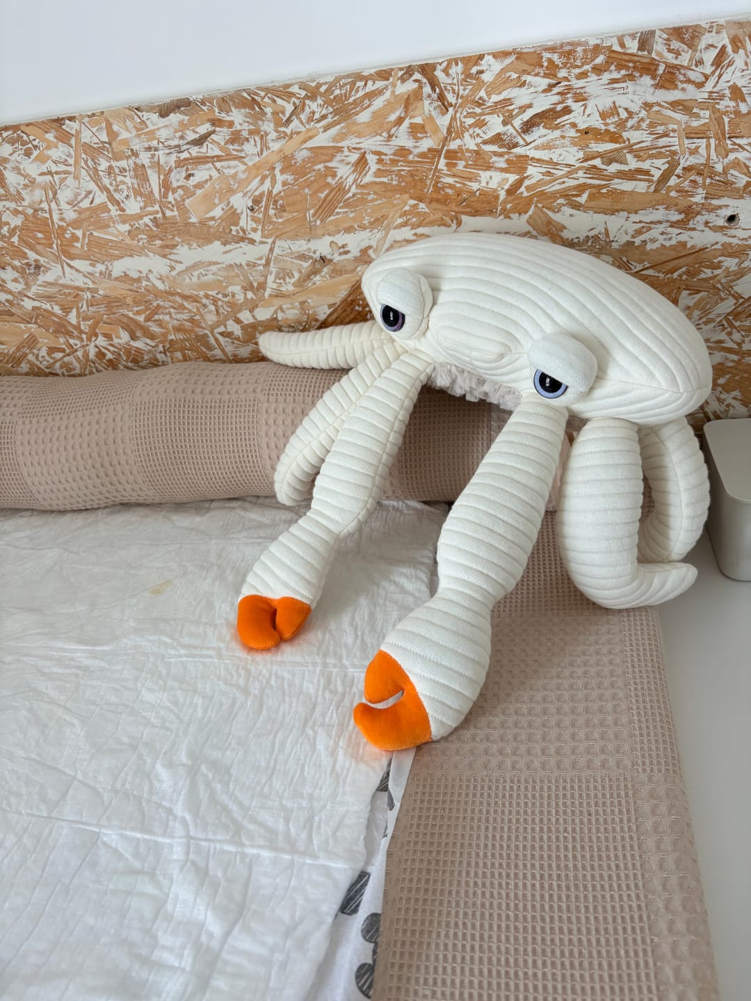 Customer photo review of The Mini Crab