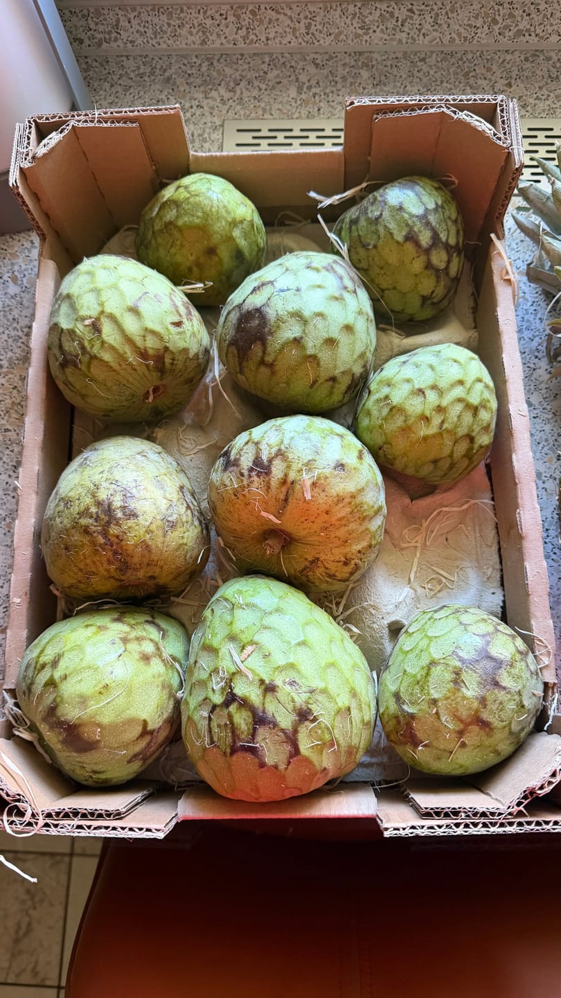 Customer photo review of Cherimoya Bio Hochernte-Retterbox Sonderaktion % 4kg
