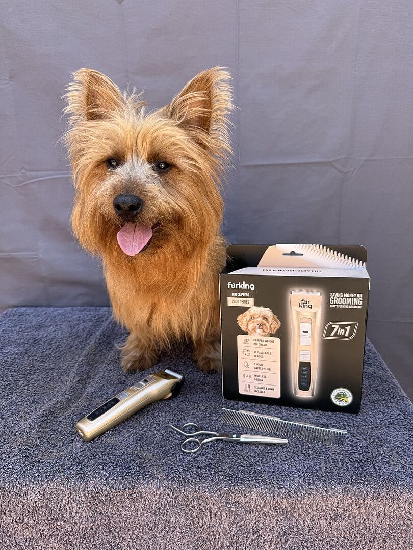 Customer photo review of Best Dog Hair Clipper | Fur King 2000 | Over 200 Australia Reviews