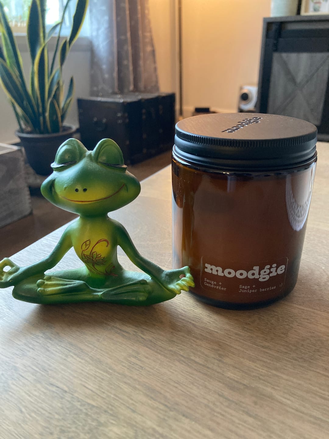 Customer photo review of Bougie - Eucalyptus + Lichen