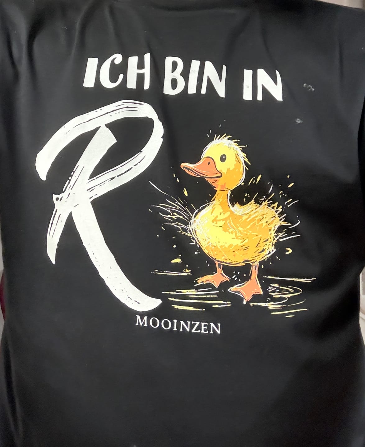 Customer photo review of Ich Bin In Rente Ente · Unisex Premium Bio T-Shirt