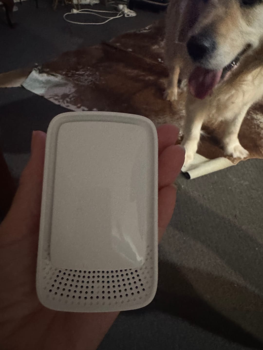 Customer photo review of Revalisse™ - Mattine più sane e una casa più sana