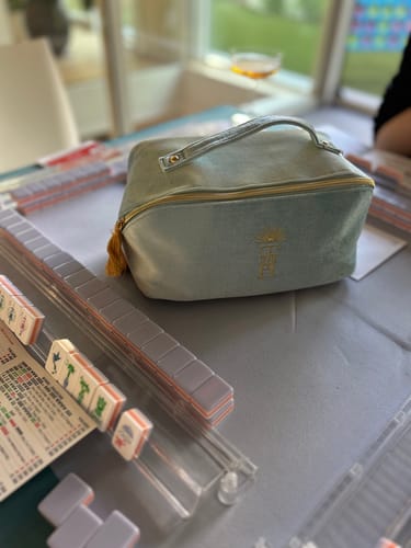 Customer photo review of Sky Blue Velvet Tile Zipper Bag