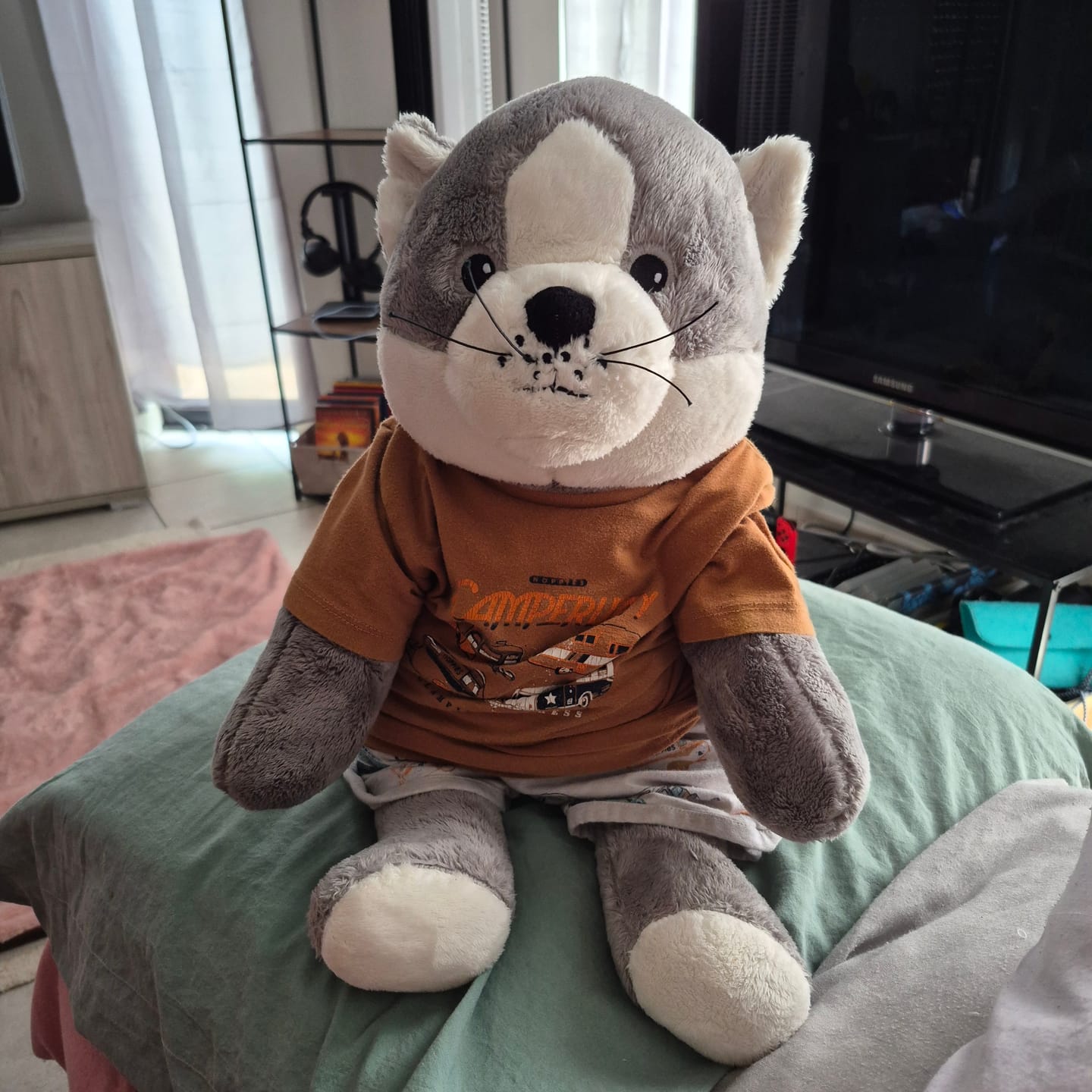 Customer photo review of Lotgenootje Kat 2kg