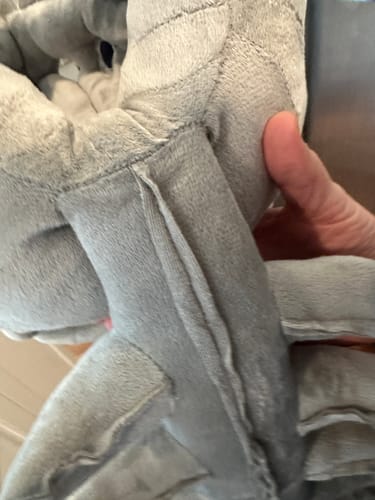 Customer photo review of BoneBuddies