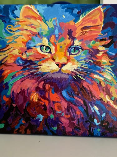 Customer photo review of Psychedelic Cat V