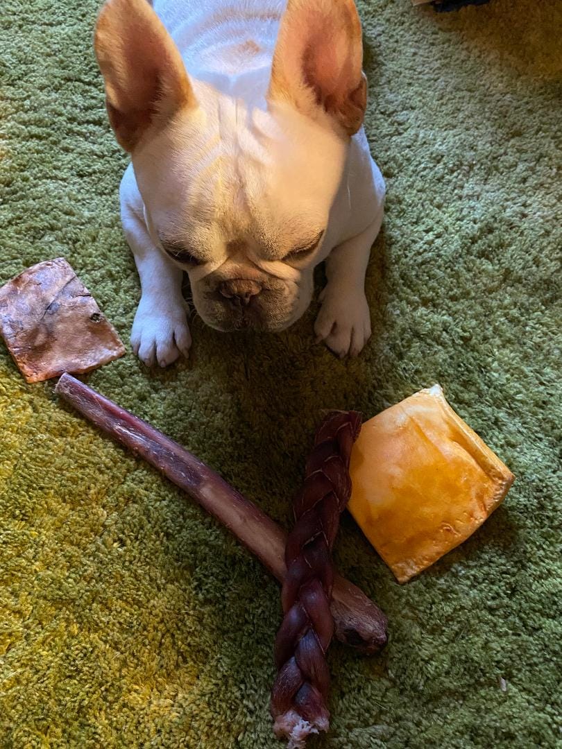 Customer photo review of 12 Inch Monster Bully Stick