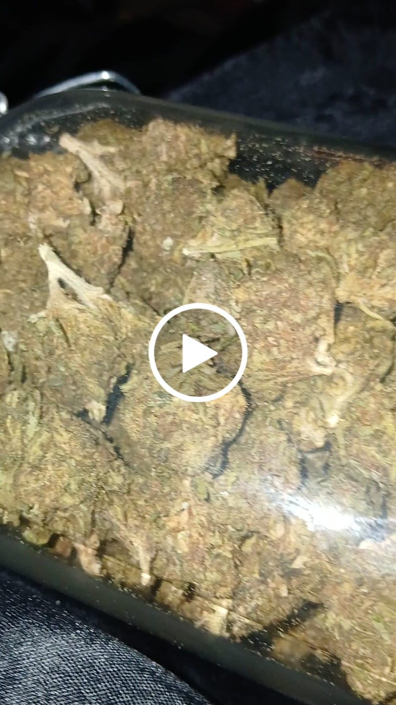 Customer video review of Butterscotch OG - Bulk - Indica