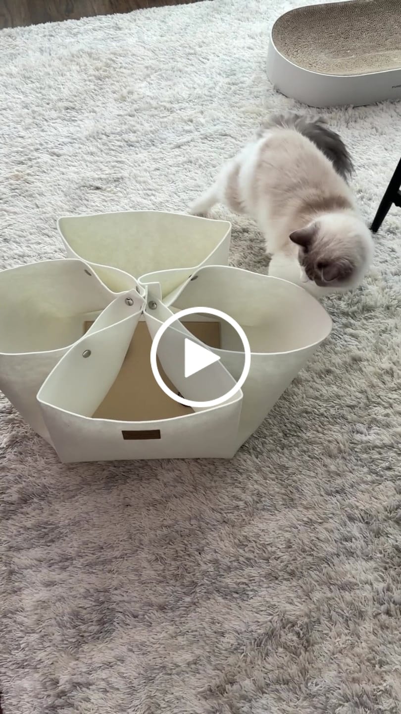 Customer video review of Multifunctional Play Mat
