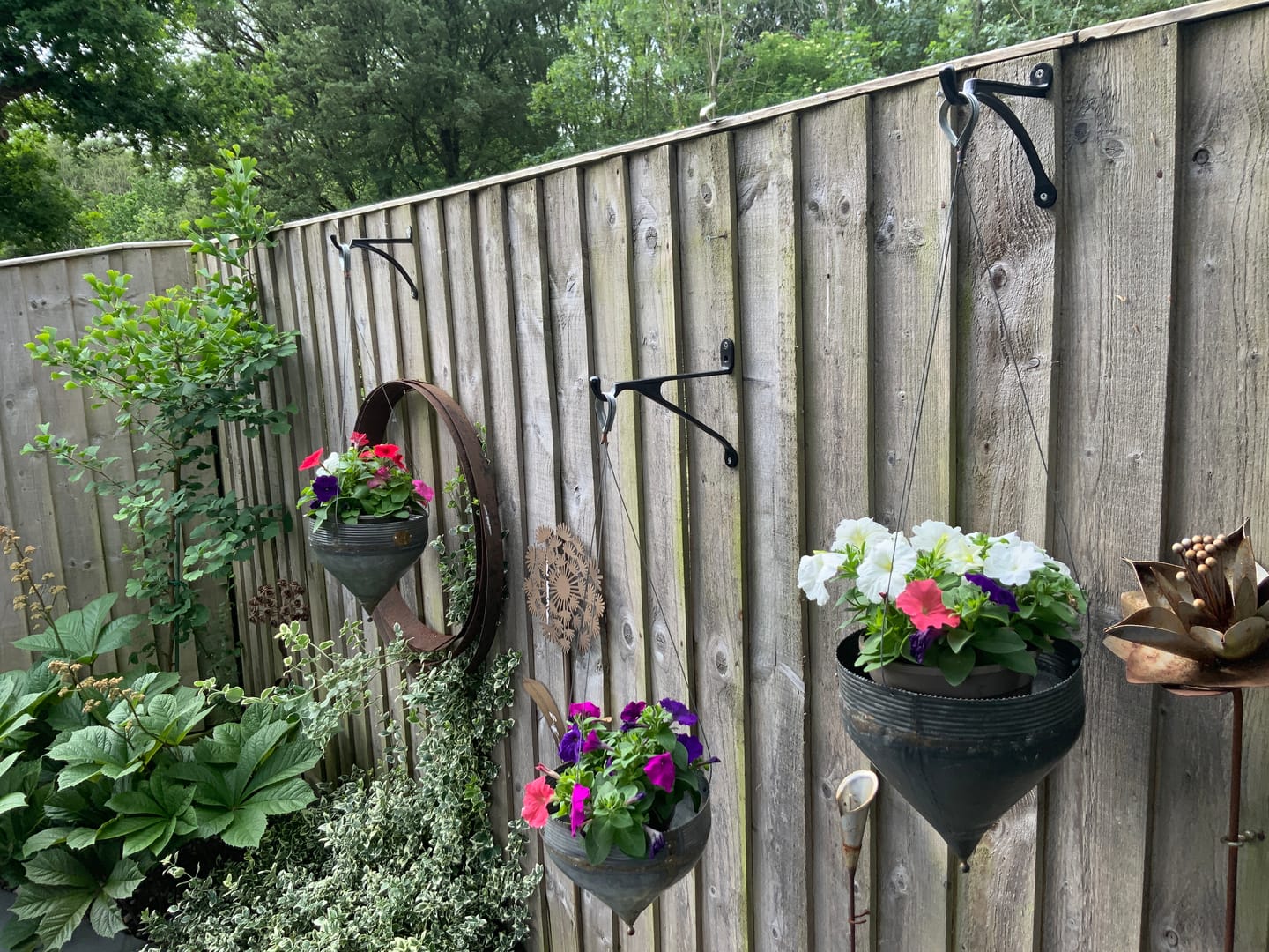 Customer photo review of 7 & 10 Inch Cast Iron Hanging Hook Bracket