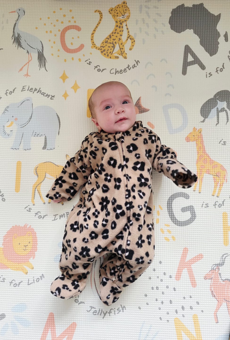 Customer photo review of ABC Africa/ World Map Play Mat