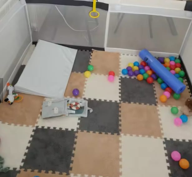 Customer photo review of Pet-Mat