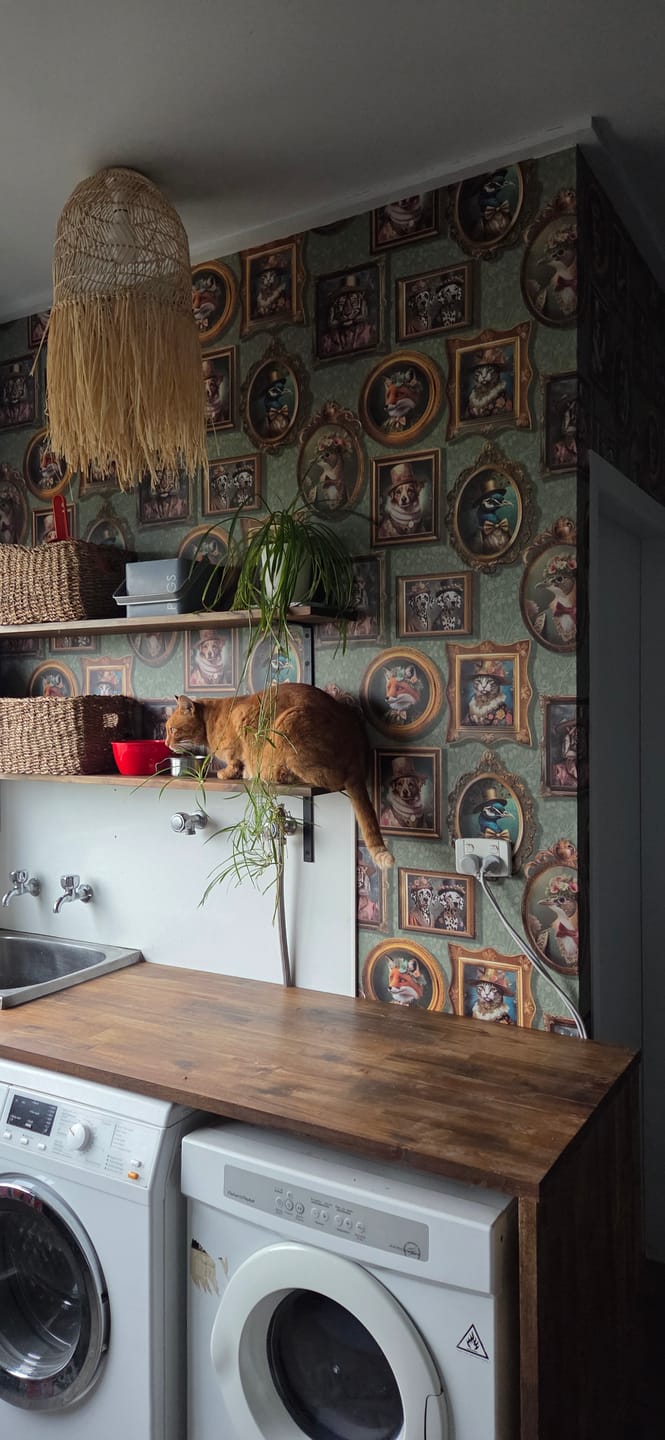 Customer photo review of Regal Beasts - Whimsical Animal Wallpaper - Sage