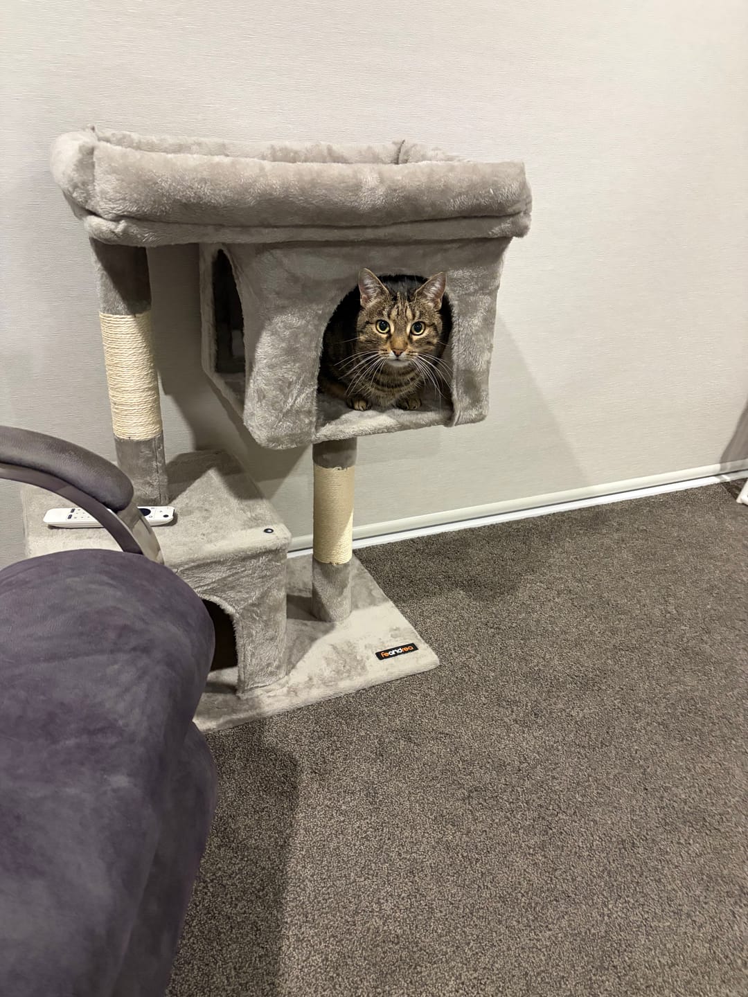 Customer photo review of Cat Tree 84cm Tall - Light Grey
