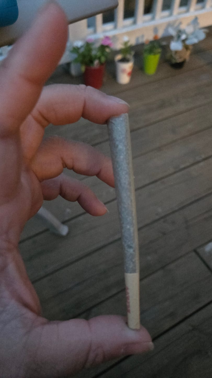 Customer photo review of Wedding Cake - Minis - 28 Grams - Indica