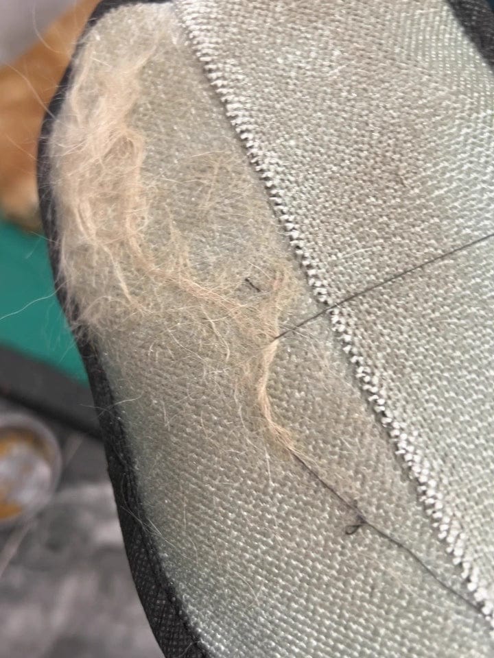Customer photo review of Extra-Large Static Pet Hair Removal Glove