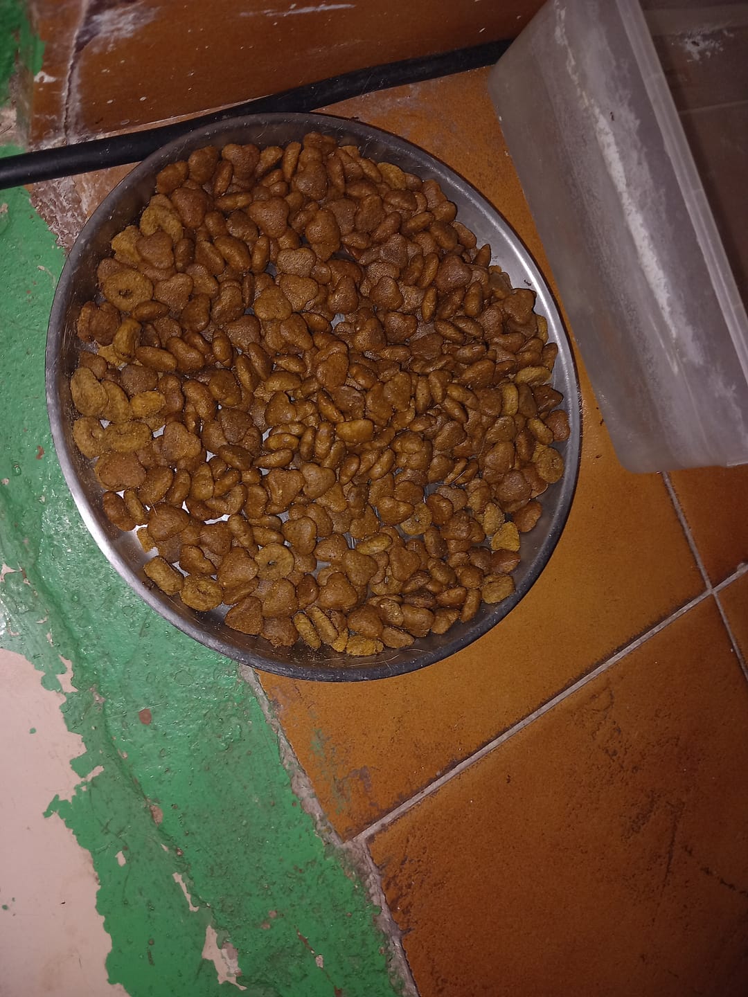 Customer photo review of Grain Free Adult Mini Chicken